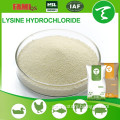 China High Quality Feed Additive l lysine